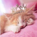 littleprincesskittyy-blog avatar