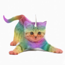 littlerainbowuni-kitty avatar