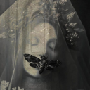 littleredstrawberys avatar