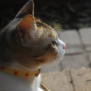 littleriverxoxo avatar