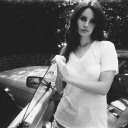 littlesadkitty avatar