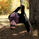 littlesassafras avatar