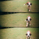 littlesatasak avatar