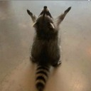 littleserendibity avatar