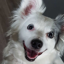 littleshane-bigworld-blog avatar