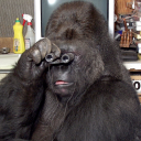 littleslimeball avatar