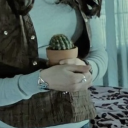 littlest-cactus avatar