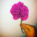 littlestars-posts avatar