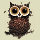 littlestowl avatar