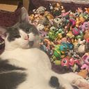 littlestpetshoparchiver avatar