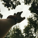 littlestthingsilike avatar