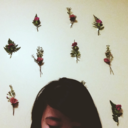 littlestwallflowerr avatar