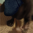 littlethings20 avatar