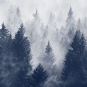 littlethingsthatneversay avatar