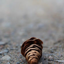 littletownlibrarian avatar