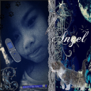 littleunicornkitty avatar