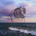 littlevictories avatar