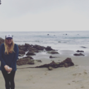 littlewaltzes avatar