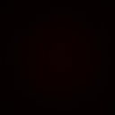 littlewarriorkitten avatar