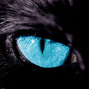 littlewerecat avatar