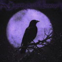 littlewhompus avatar