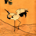 littlewingjay avatar