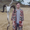 littlewolfism avatar