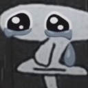 littlexheaven avatar