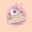 littlexlioness avatar