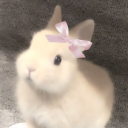 littlleebunny avatar