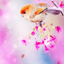 live--laugh--luv avatar