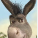 live-and-learn avatar