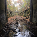 live-like-lifeisadream avatar