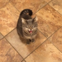 live-likeahero avatar