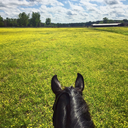 live-love-jump avatar