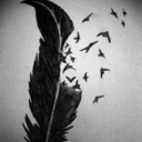 liveanddream73 avatar