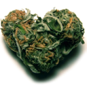 liveburnswag-blog-blog avatar