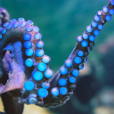 livefastandprosper avatar