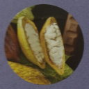 liveflyfaildiediediedie avatar