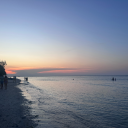 livelife2dfull avatar