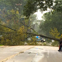 livelifeblithely avatar