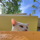 livelistenlove avatar