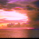 livelovelaugh2 avatar