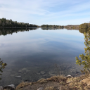 livelovelifephotography avatar