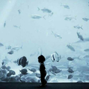 livelykingfisher avatar