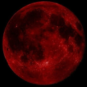 livermorium-and-arsenic-tales avatar