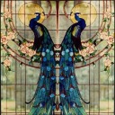 livesvicariouslythroughfiction avatar