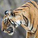 livet-enligt-mig avatar