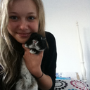 livetodance16 avatar