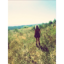 livewith-out-fear avatar